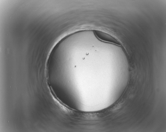 X0000060771527200512011558