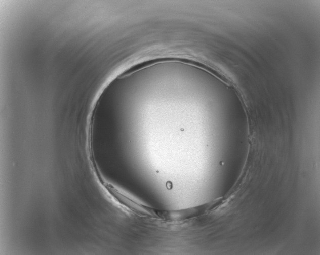 X0000060771528200512011558