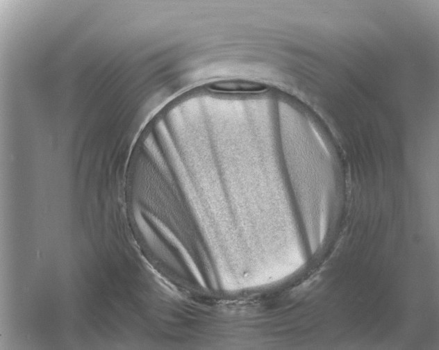 X0000060771529200512011558