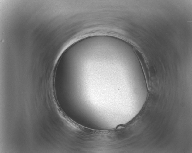 X0000060771530200512011558