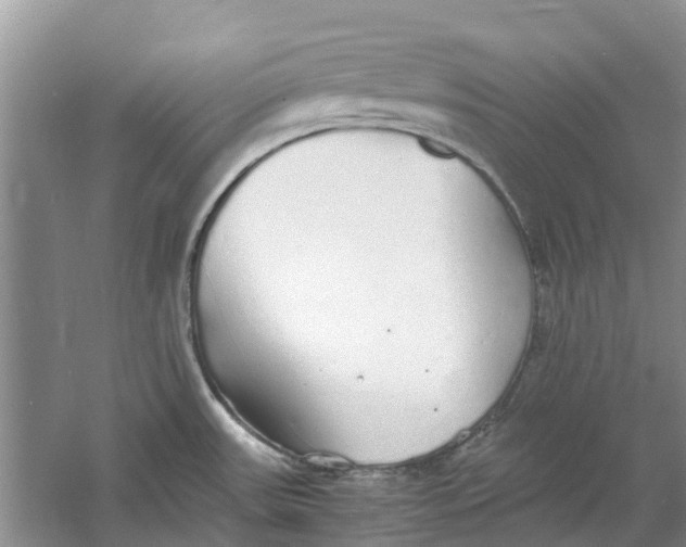 X0000060771531200512011558