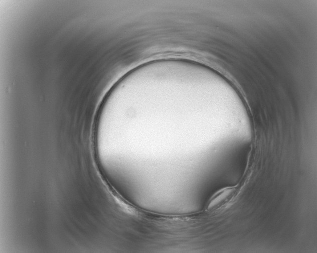 X0000060771533200512011558