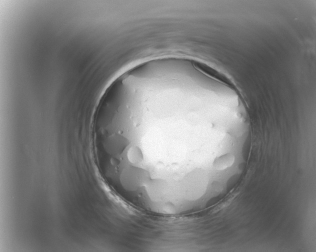 X0000060771534200512011558