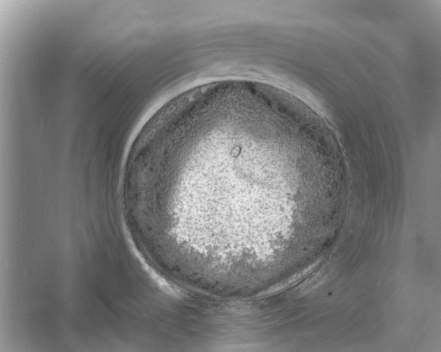 X0000060771536200512011558