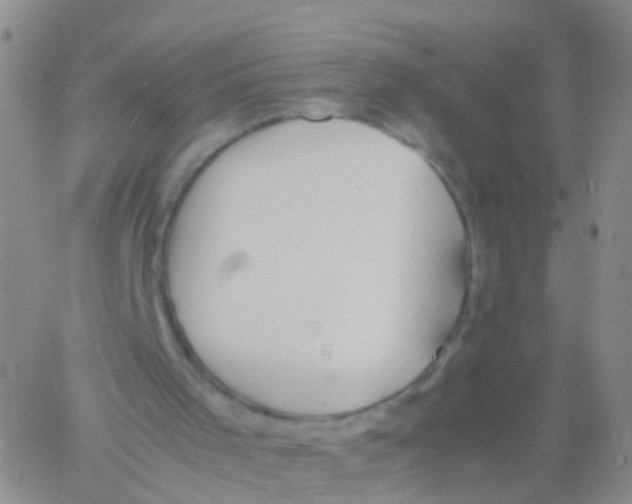 X0000060770001200512082045