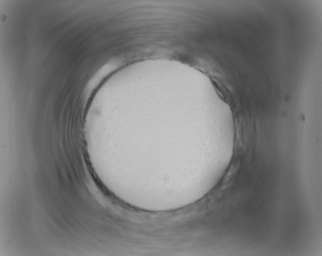 X0000060770003200512082045