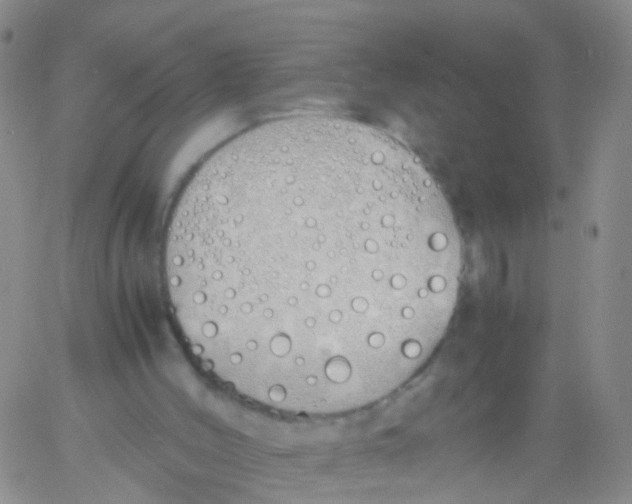 X0000060770004200512082045