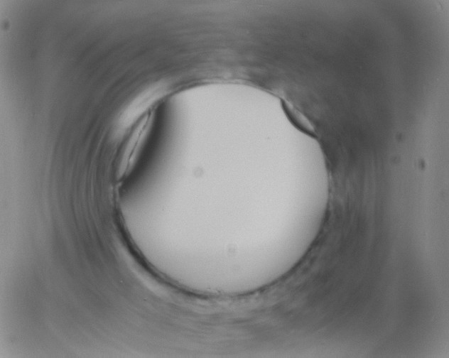 X0000060770005200512082045