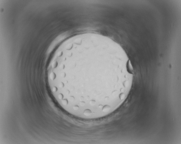 X0000060770006200512082045