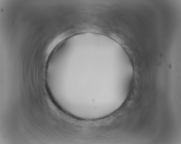 X0000060770007200512082045