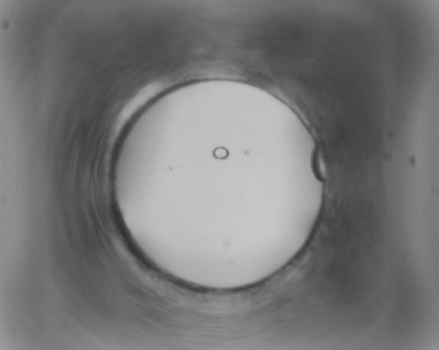 X0000060770008200512082045