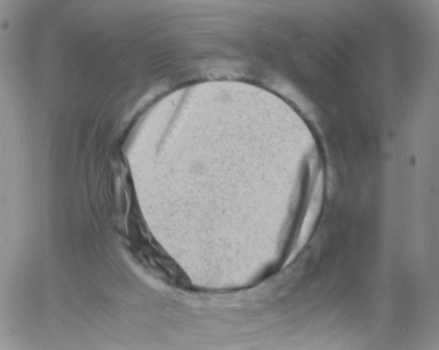 X0000060770009200512082045