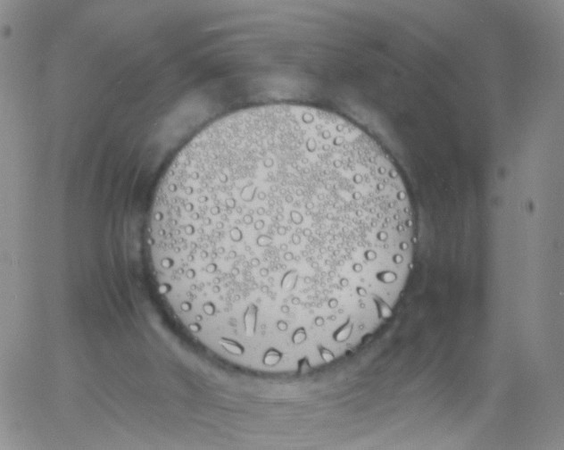 X0000060770010200512082045