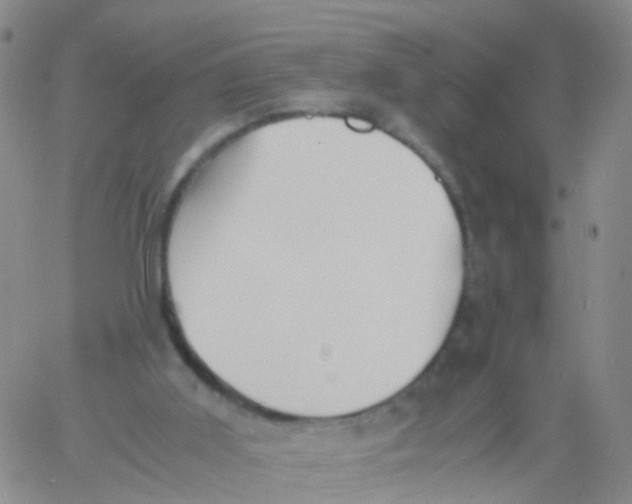 X0000060770011200512082045