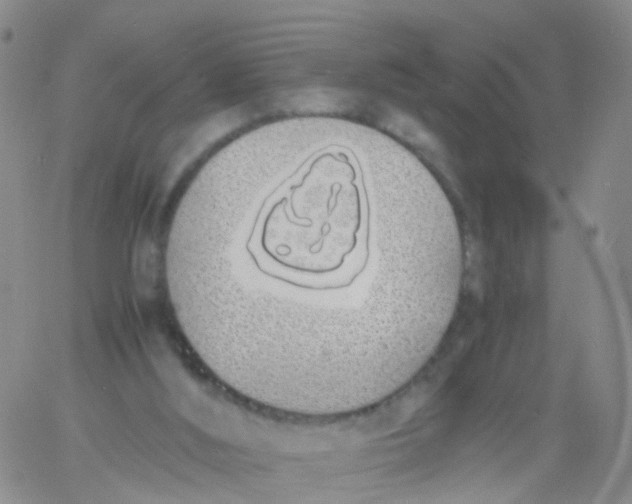 X0000060770012200512082045