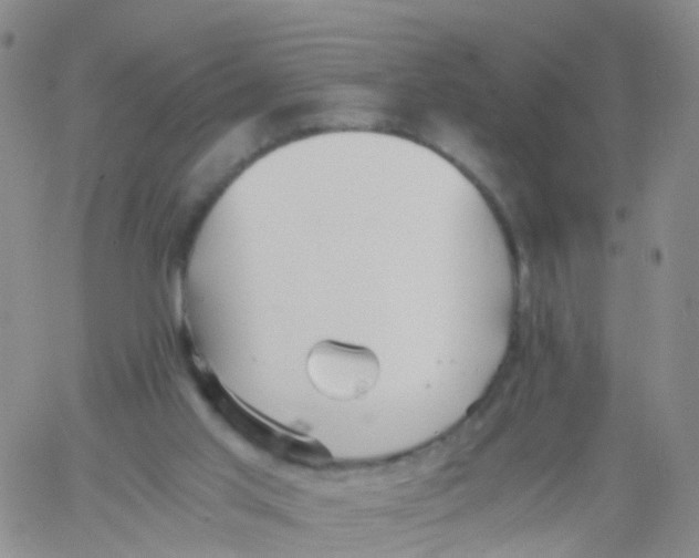 X0000060770013200512082045