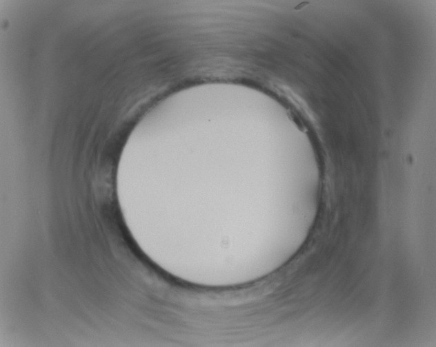 X0000060770017200512082045