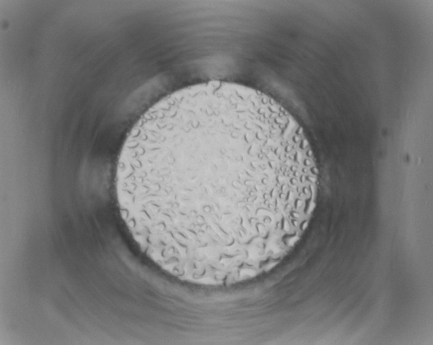 X0000060770018200512082045