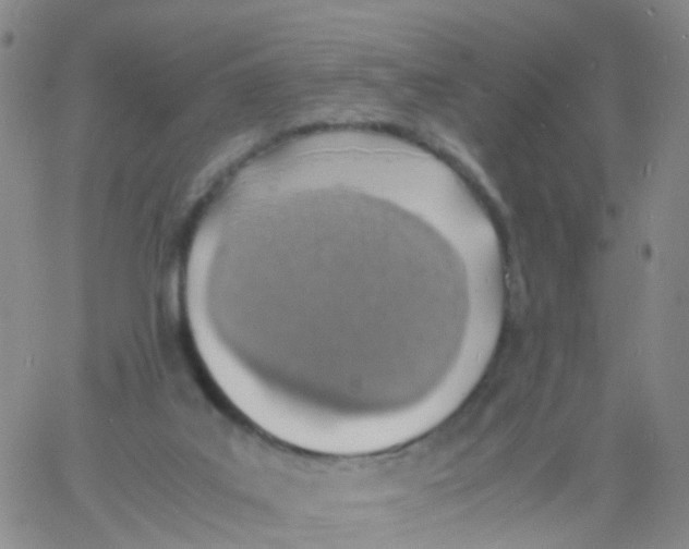 X0000060770019200512082045