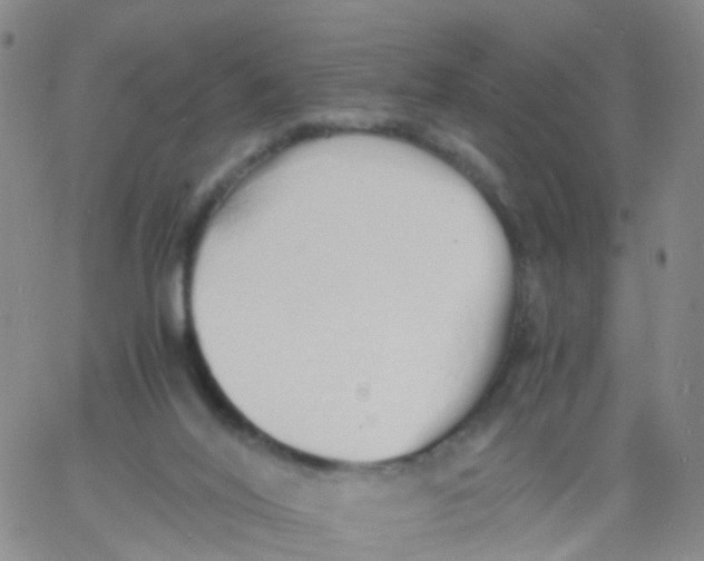 X0000060770020200512082045