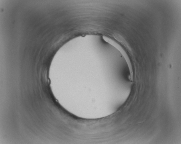 X0000060770021200512082045