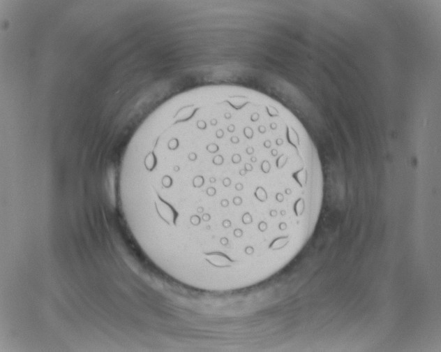 X0000060770022200512082045