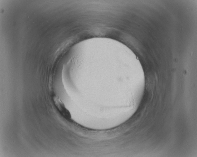 X0000060770023200512082045