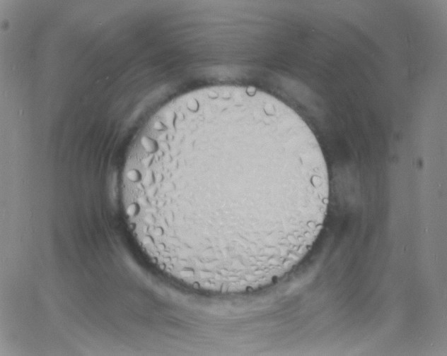 X0000060770024200512082045