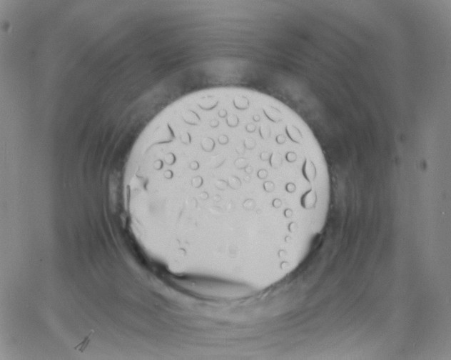 X0000060770026200512082045