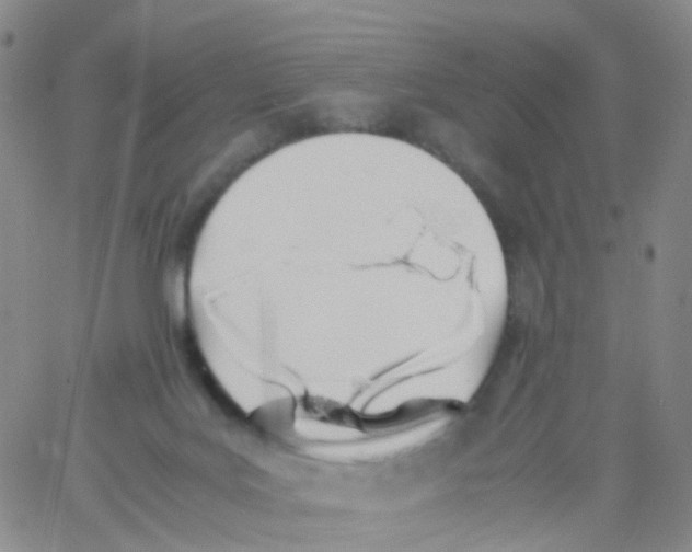 X0000060770027200512082045