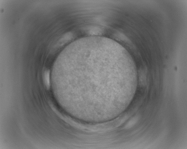 X0000060770028200512082045