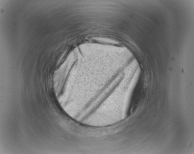 X0000060770029200512082045