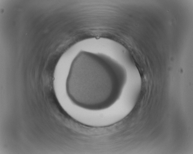 X0000060770031200512082045