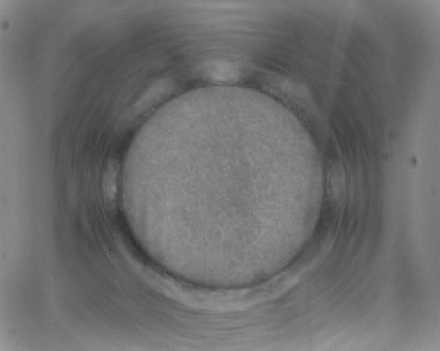 X0000060770032200512082045