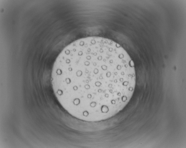 X0000060770034200512082045