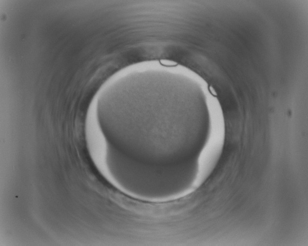 X0000060770035200512082045