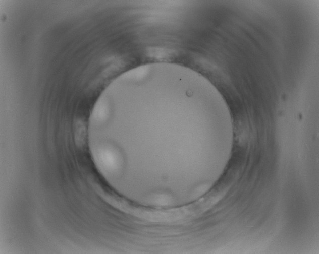 X0000060770036200512082045