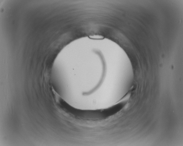 X0000060770037200512082045