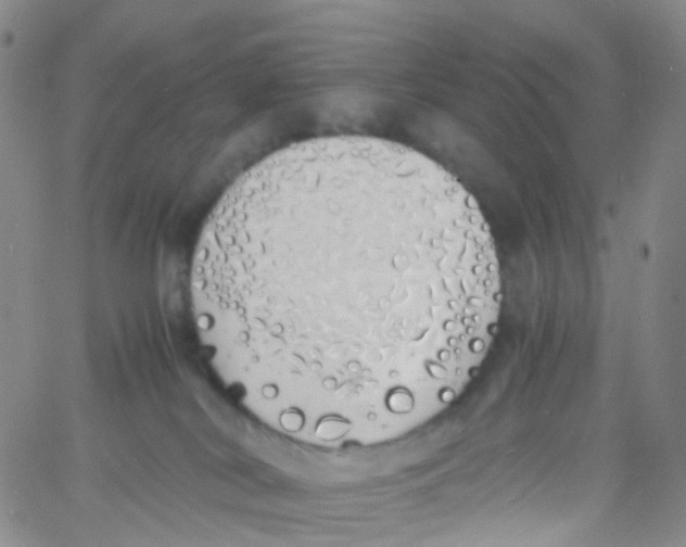 X0000060770038200512082045