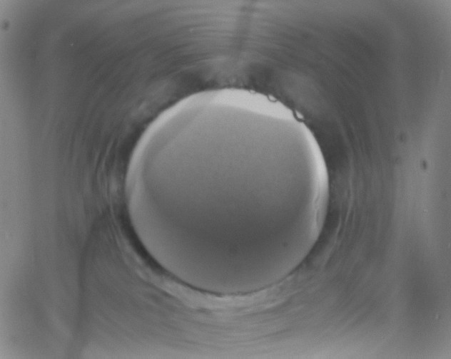 X0000060770039200512082045