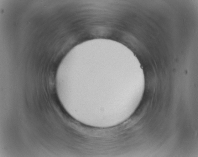 X0000060770040200512082045