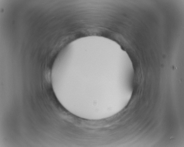 X0000060770041200512082044