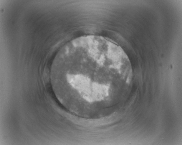 X0000060770043200512082044