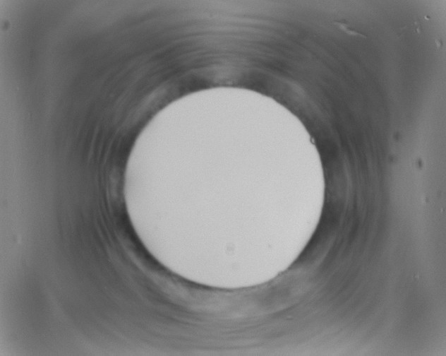 X0000060770044200512082044