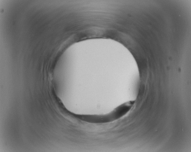 X0000060770045200512082044