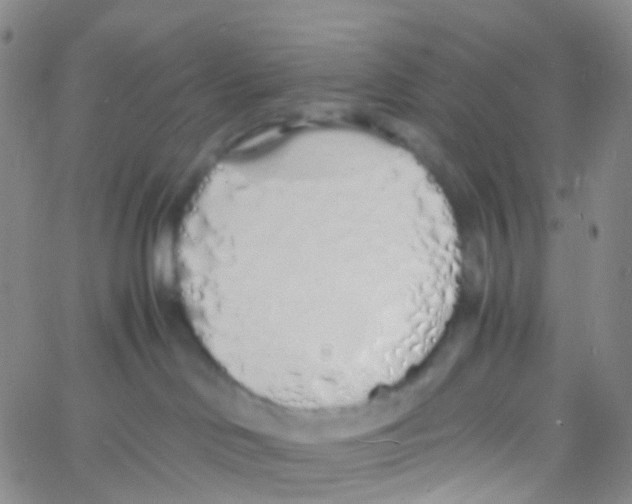 X0000060770046200512082044