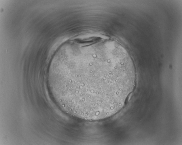 X0000060770049200512082044