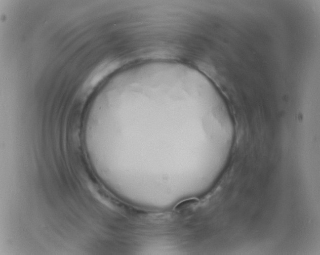 X0000060770050200512082044