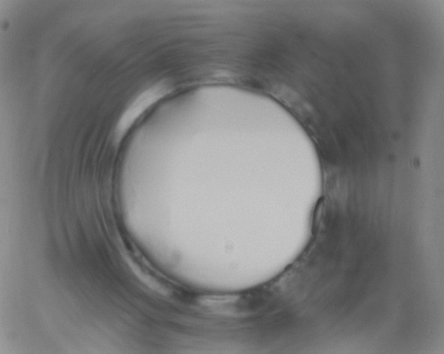 X0000060770051200512082044