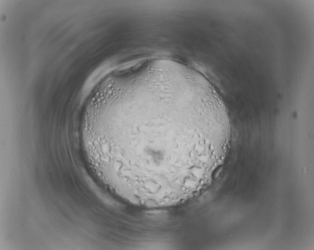 X0000060770053200512082044